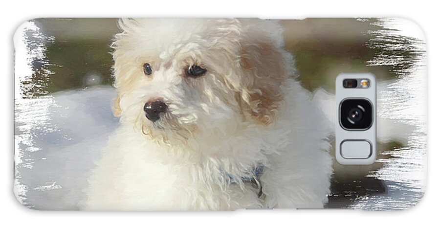 Bichon Galaxy Case featuring the photograph Bichon Poo Pup by Eleanor Abramson