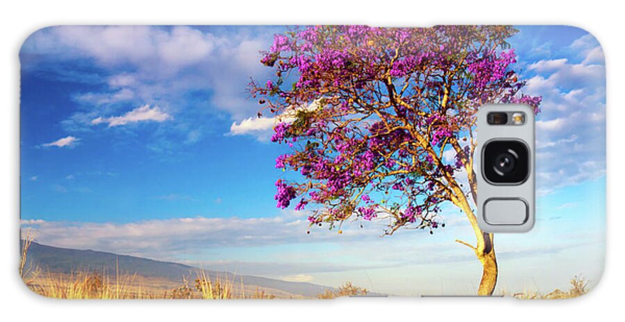 Jacaranda Galaxy Case featuring the photograph Big Island Jacaranda Tree by Christopher Johnson
