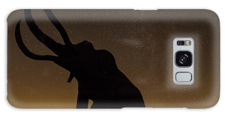 Anza Borrego Sculptures Galaxy Case featuring the photograph Big things by Kunal Mehra