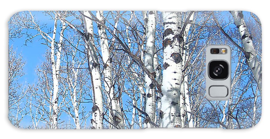 #print #photograph #nature #yamnuska #cochranealberta #zeus #snow #birchtrees #outdoors Galaxy S8 Case featuring the photograph Birch Sky by Jacquelinemari