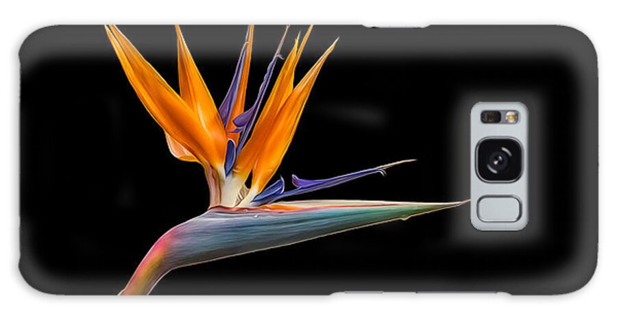 Plant Galaxy Case featuring the photograph Bird of Paradise Flower on Black by Rikk Flohr