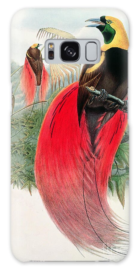 Birds Galaxy Case featuring the painting Bird of Paradise by John Gould