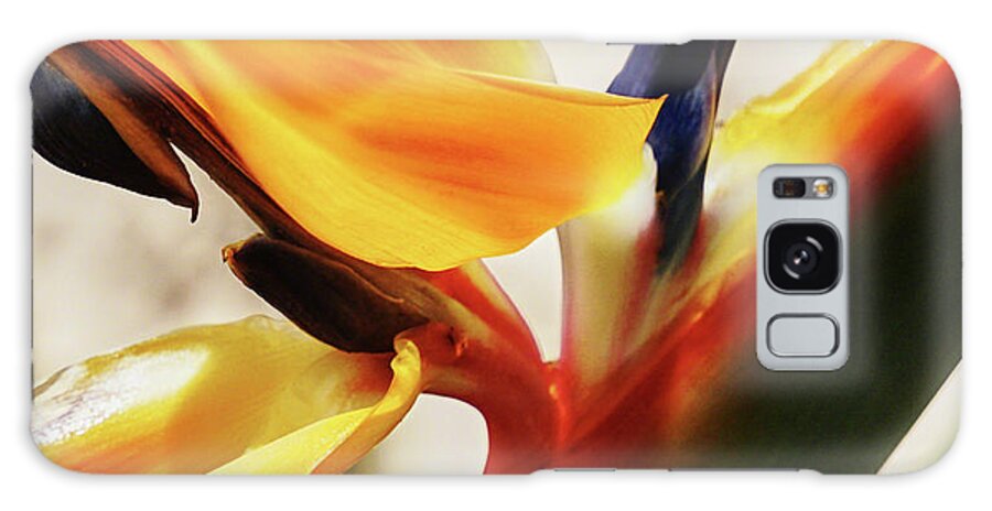 Bird Of Paradise Galaxy Case featuring the photograph Bird of Paradise Macro by Kenneth Roberts
