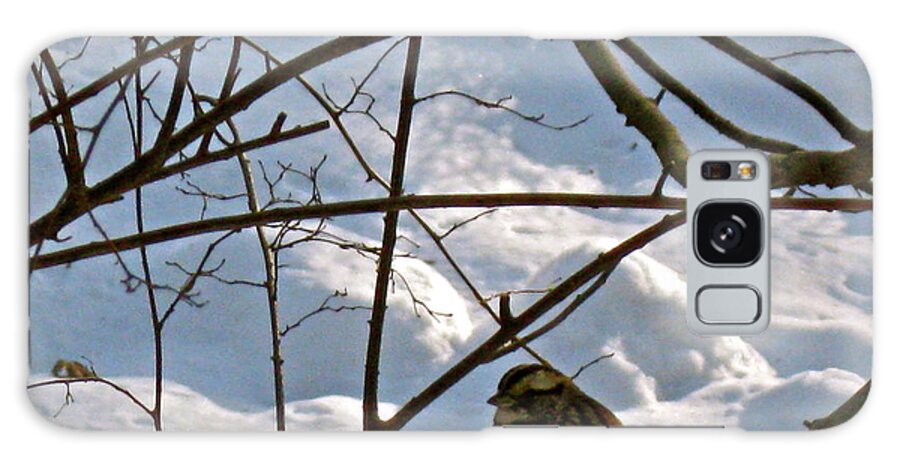 Landscape With Bird Galaxy Case featuring the photograph Bird on a branch by Felix Zapata