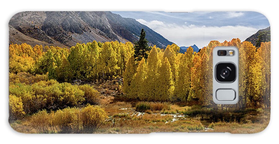 Af Zoom 24-70mm F/2.8g Galaxy S8 Case featuring the photograph Bishop Creek Aspen by John Hight