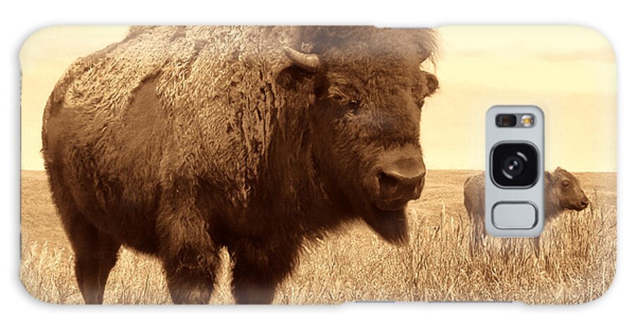 Bison Galaxy Case featuring the photograph Bison and Calf by American West Legend By Olivier Le Queinec