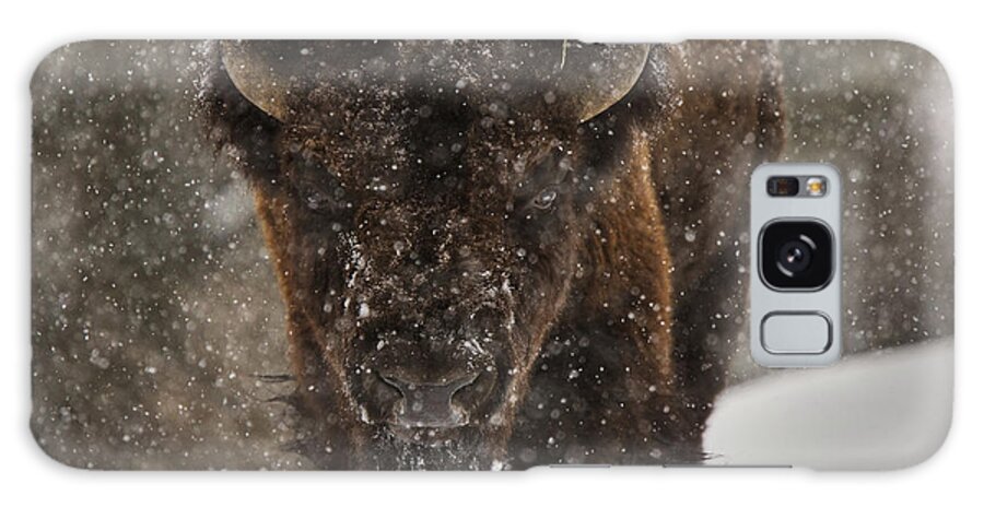 Wildlife Galaxy Case featuring the digital art Bison Buffalo Wyoming Yellowstone by Mark Duffy