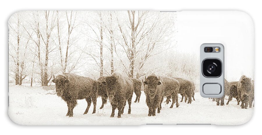 Bison Galaxy Case featuring the photograph Bison in Snowstorm by Steve Lucas
