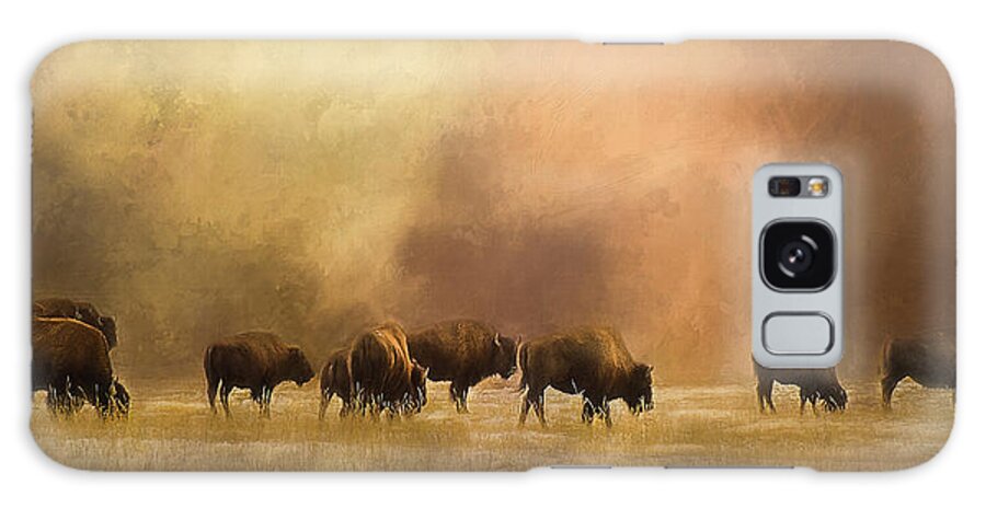 Bison Galaxy Case featuring the photograph Bison - Yellowstone National Park by Debra Boucher