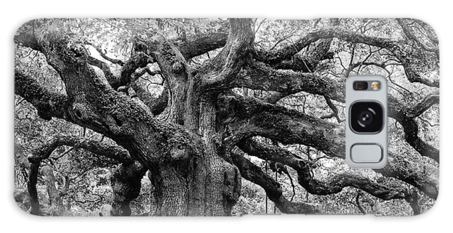 Angel Oak Galaxy Case featuring the photograph Black and White Angel Oak Tree by Louis Dallara