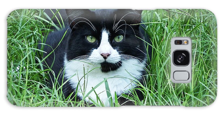 Black Galaxy Case featuring the photograph Black and White Cat with Green Eyes by Cathy Harper