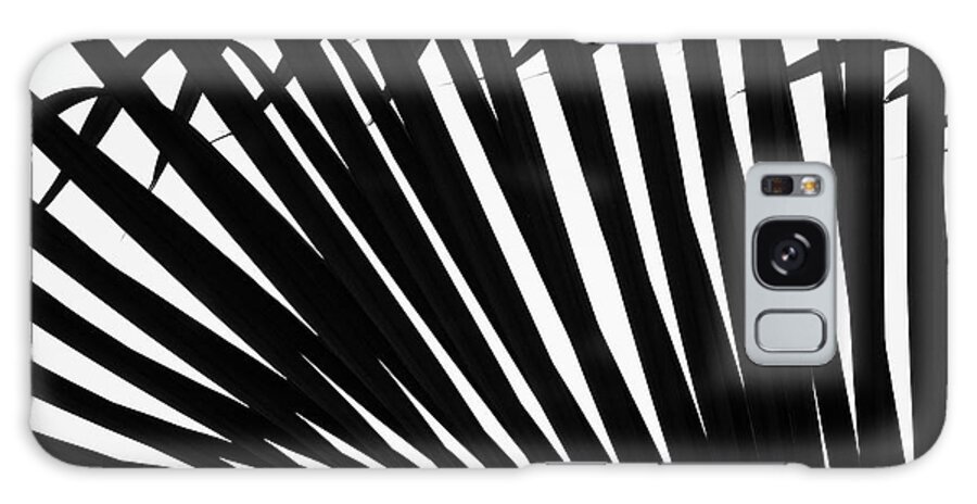 Palm Galaxy Case featuring the photograph Black and White Palm Branch by Christopher Johnson