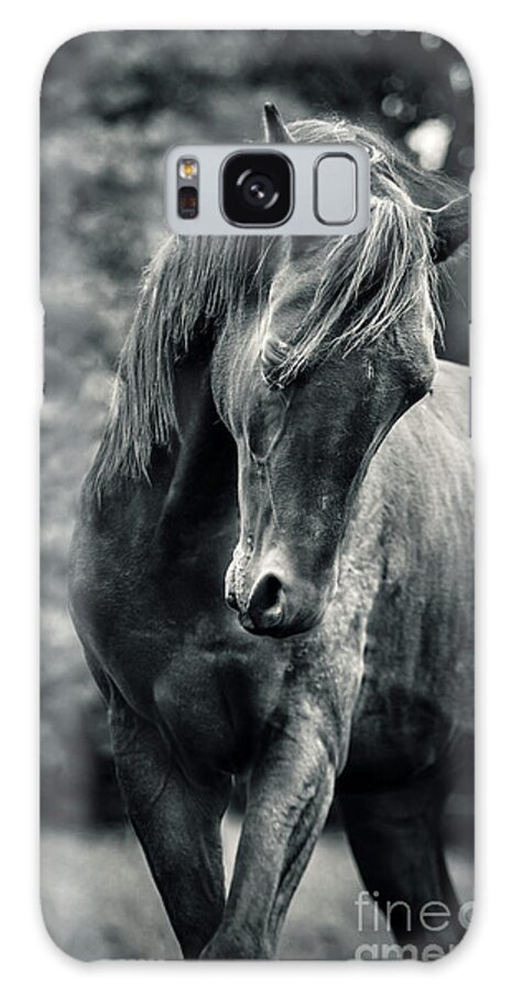 Horse Galaxy Case featuring the photograph Black and white portrait of horse by Dimitar Hristov