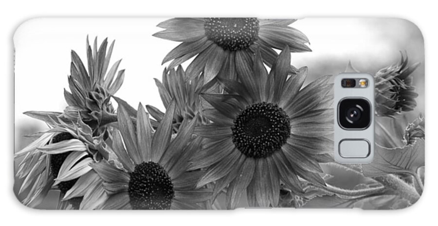 Flower Galaxy Case featuring the photograph Black and White Sunflowers by Amy Fose