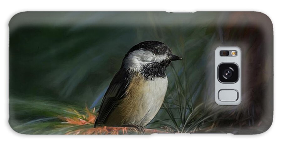 Black-capped Chicadee Galaxy Case featuring the photograph Black-capped Chicadee by Eva Lechner
