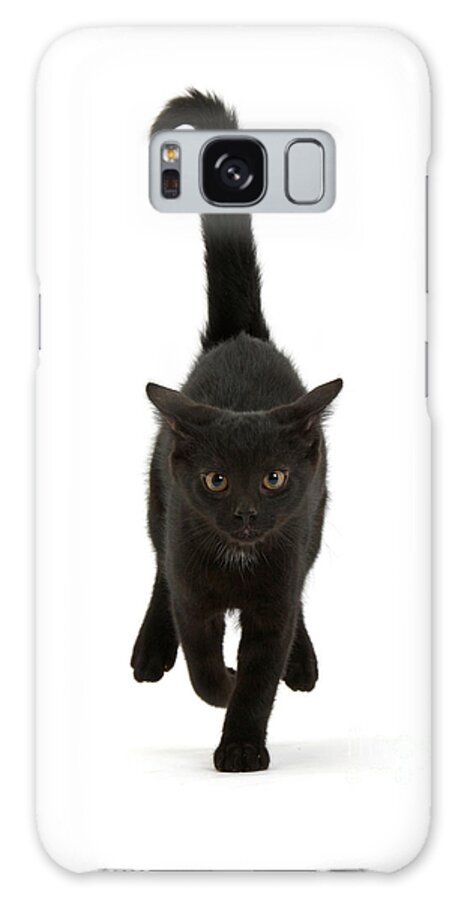 Black Galaxy Case featuring the photograph Black Cat on the Run by Warren Photographic