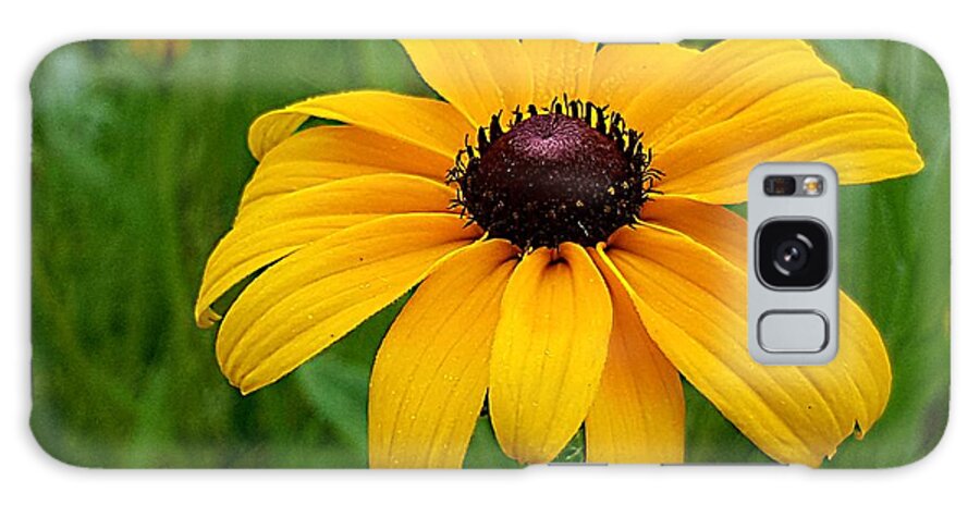 Lupins Galaxy Case featuring the photograph Black Eyed Susan by Michael Graham