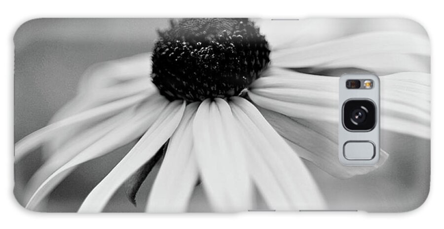 Black Eyed Susan Galaxy Case featuring the photograph Black Eyed Susan by Michelle Joseph-Long