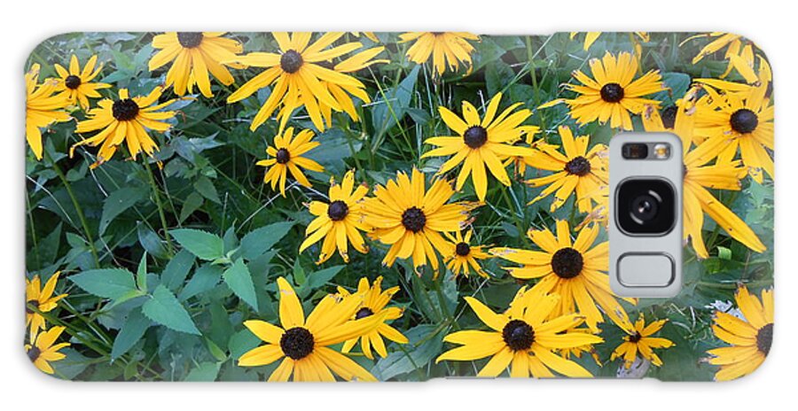 Flowers Galaxy Case featuring the photograph Black Eyes Of The Sun by Carrie Skinner