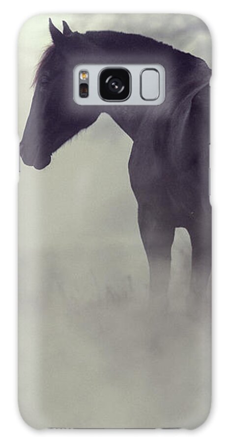 Horse Galaxy Case featuring the photograph Black horse in the dark mist by Dimitar Hristov