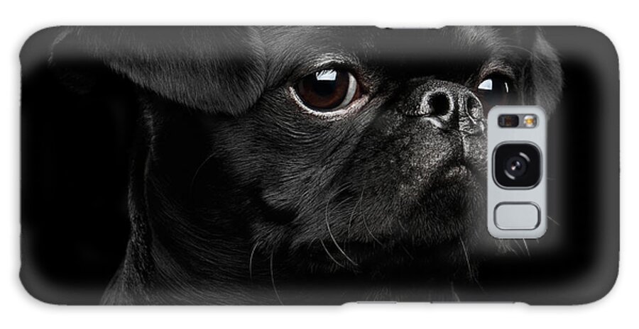 Dog Galaxy Case featuring the photograph Black petit brabanson by Sergey Taran