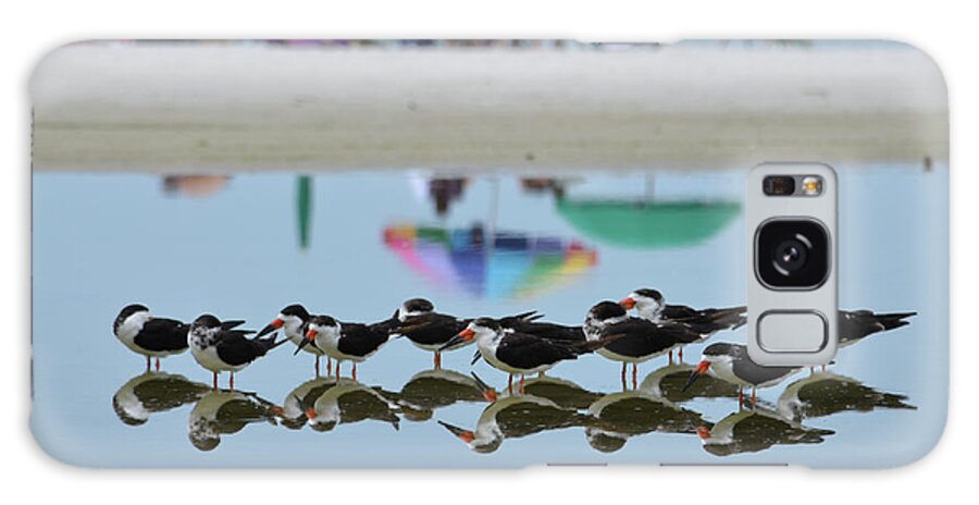 Bird Galaxy Case featuring the photograph Black Skimmers Enjoying the Beach by Artful Imagery