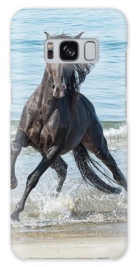 Horse Galaxy Case featuring the photograph Black Stallion by Wade Aiken