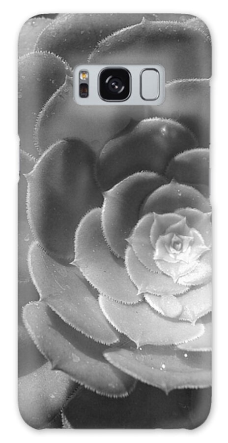 Flower Galaxy Case featuring the photograph Blackand White Cabbage Cactus by Amy Fose