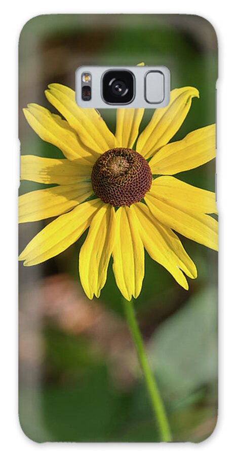 Blackeyed Susan Galaxy S8 Case featuring the photograph Blackeyed Susan by Paul Rebmann