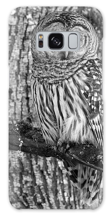 Barred Owl Galaxy S8 Case featuring the photograph Blending In - 365-187 by Inge Riis McDonald