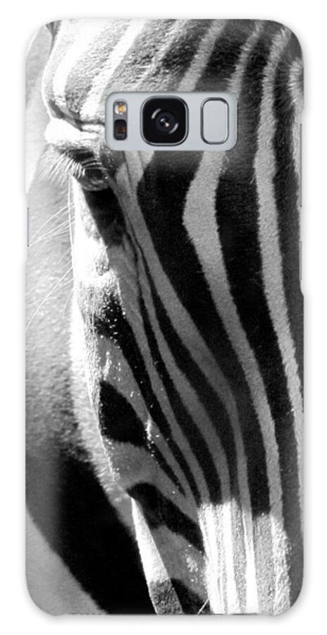 Zebra Galaxy Case featuring the photograph Blink by Lori Lafargue