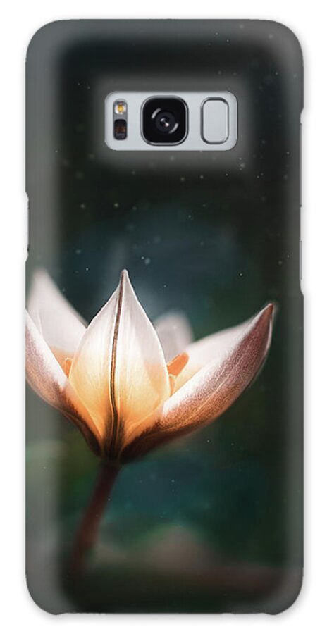 Flower Galaxy Case featuring the photograph Blossoming Light by Scott Norris
