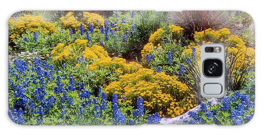 Lady Bird Johnson Wildflower Center Galaxy Case featuring the photograph Blue and Yellow by Bob Phillips