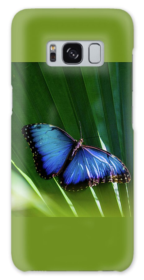 Butterfly Galaxy Case featuring the photograph Blue Butterfly by Rochelle Berman