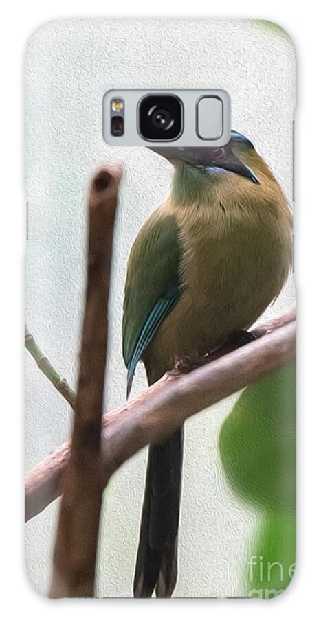 Blue Galaxy S8 Case featuring the digital art Blue-crowned Motmot Oil by Ed Taylor