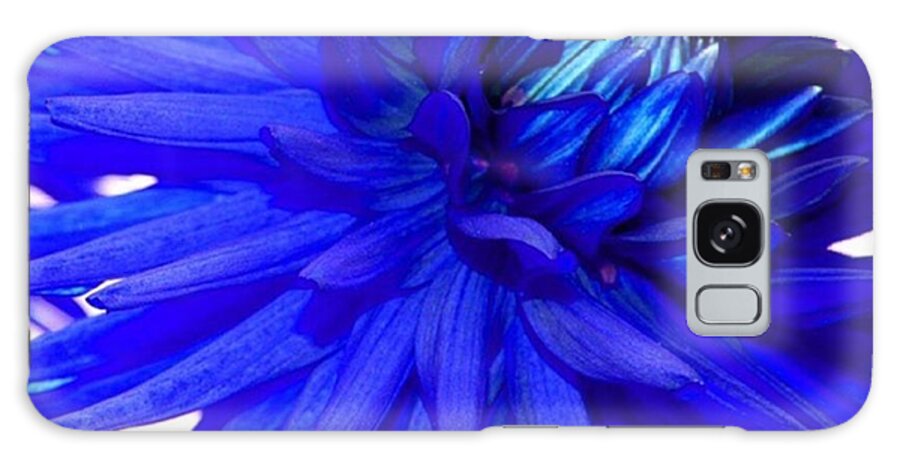 Dahlias Galaxy Case featuring the photograph Blue Dahlia Flower

#flower #flowers by Elizabeth Whycer