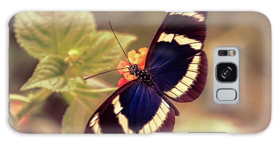 Butterfly Galaxy Case featuring the photograph Blue Doris Longwing Butterfly by Tim Abeln