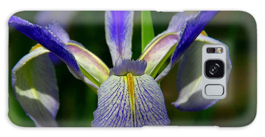Blue Flag Iris Galaxy S8 Case featuring the photograph Blue Flag Iris by Barbara Bowen