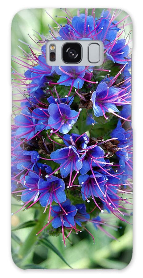 Flower Galaxy Case featuring the photograph Blue Flowers by Amy Fose