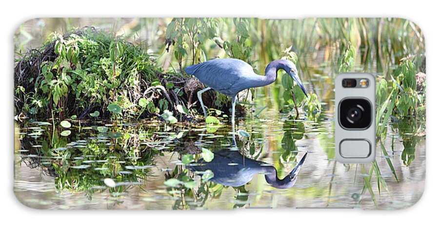 Blue Heron Galaxy Case featuring the photograph Blue Heron Fishing in a Pond in Bright Daylight by Artful Imagery