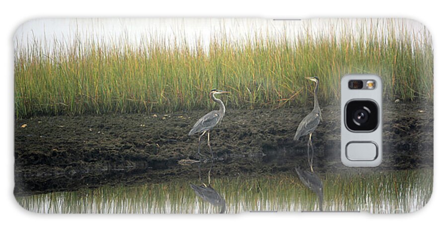Marsh Galaxy Case featuring the photograph Blue herons on foggy marsh by Dianne Morgado