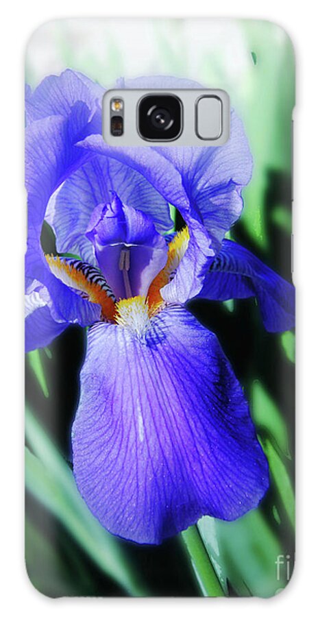 Iris Galaxy Case featuring the photograph Blue Iris 2 by Lizi Beard-Ward