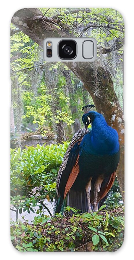 Blue Peacock Galaxy S8 Case featuring the photograph Blue Peacock by Joan Reese