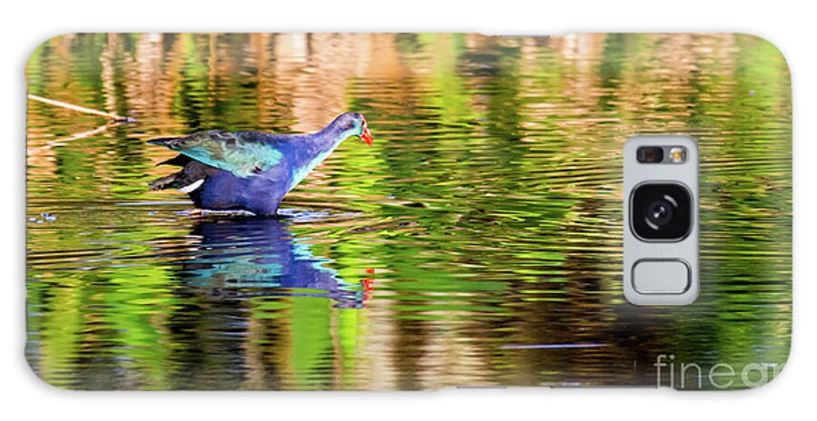 Blue Winged Teal Galaxy Case featuring the photograph Blue Winged Teal by Rene Triay FineArt Photos