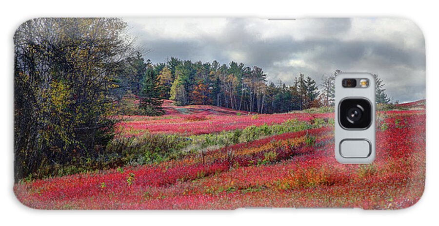 Blueberry Galaxy Case featuring the photograph Blueberry Field by John Meader