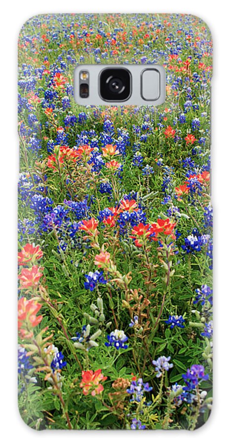 Bluebonnet Pink And Yellow Indian Paintbrush Wild Flowers Landscapes In Texas Galaxy Case featuring the photograph Bluebonnets and Paintbrushes 3 - Texas by Brian Harig