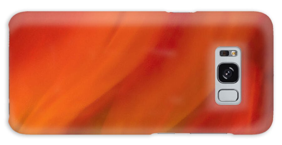 Tulip Galaxy Case featuring the photograph Blur de Lis by Neil Shapiro