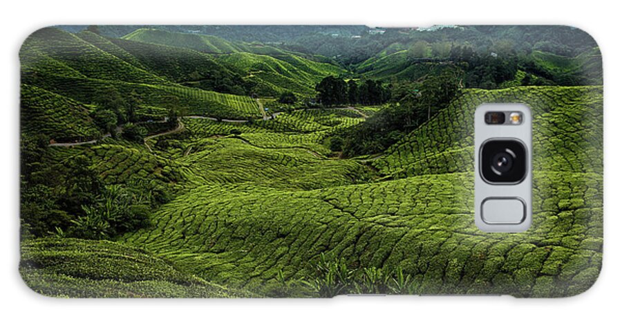 Malaysia Galaxy Case featuring the photograph BOH Tea Plantation in the Cameron Highlands, Pahang, Malaysia, Southeast Asia by Sam Antonio