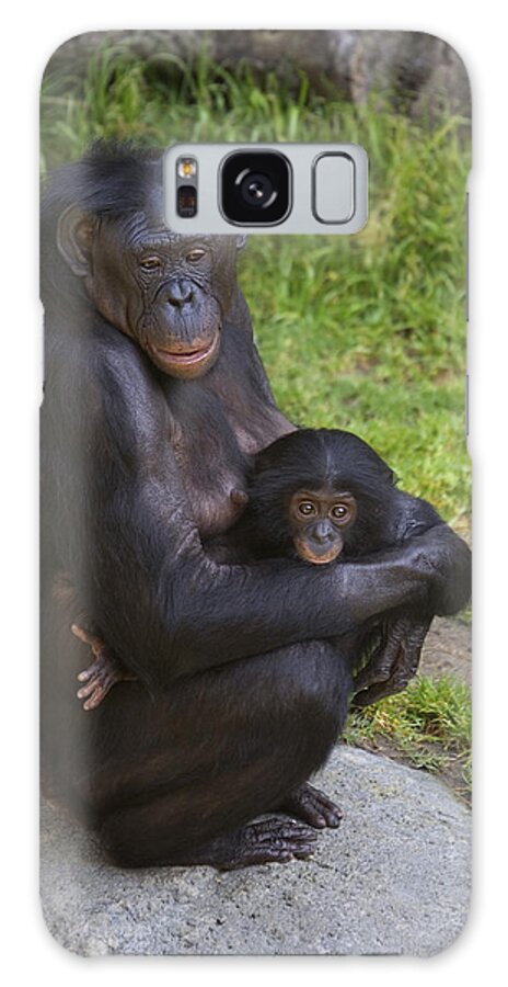 Mp Galaxy Case featuring the photograph Bonobo Pan Paniscus Mother Cradling by San Diego Zoo