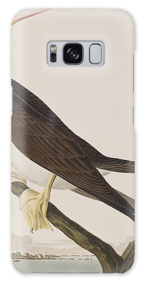 Booby Galaxy Case featuring the painting Booby Gannet  by John James Audubon